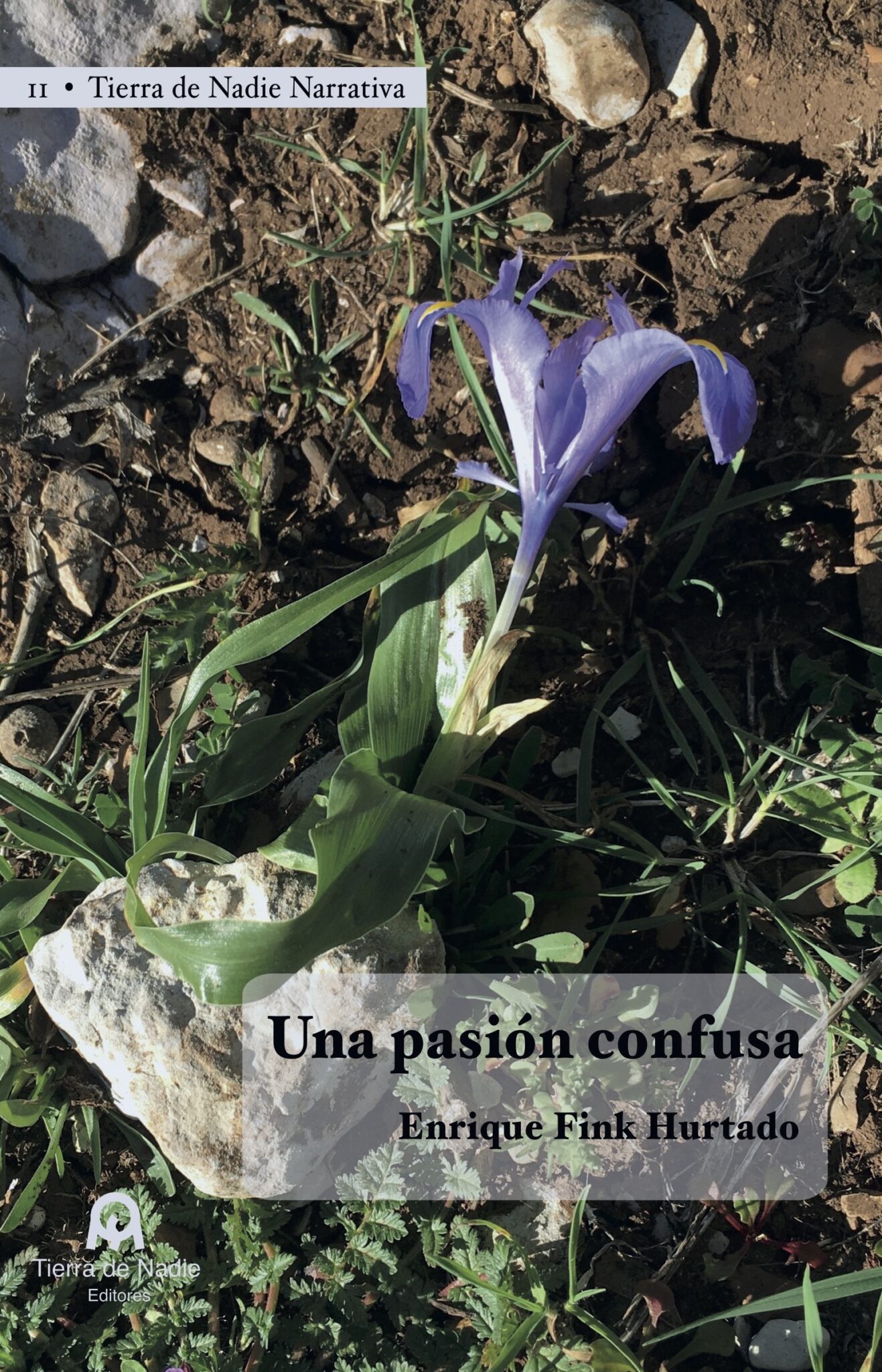 Una pasión confusa - Imagen 2