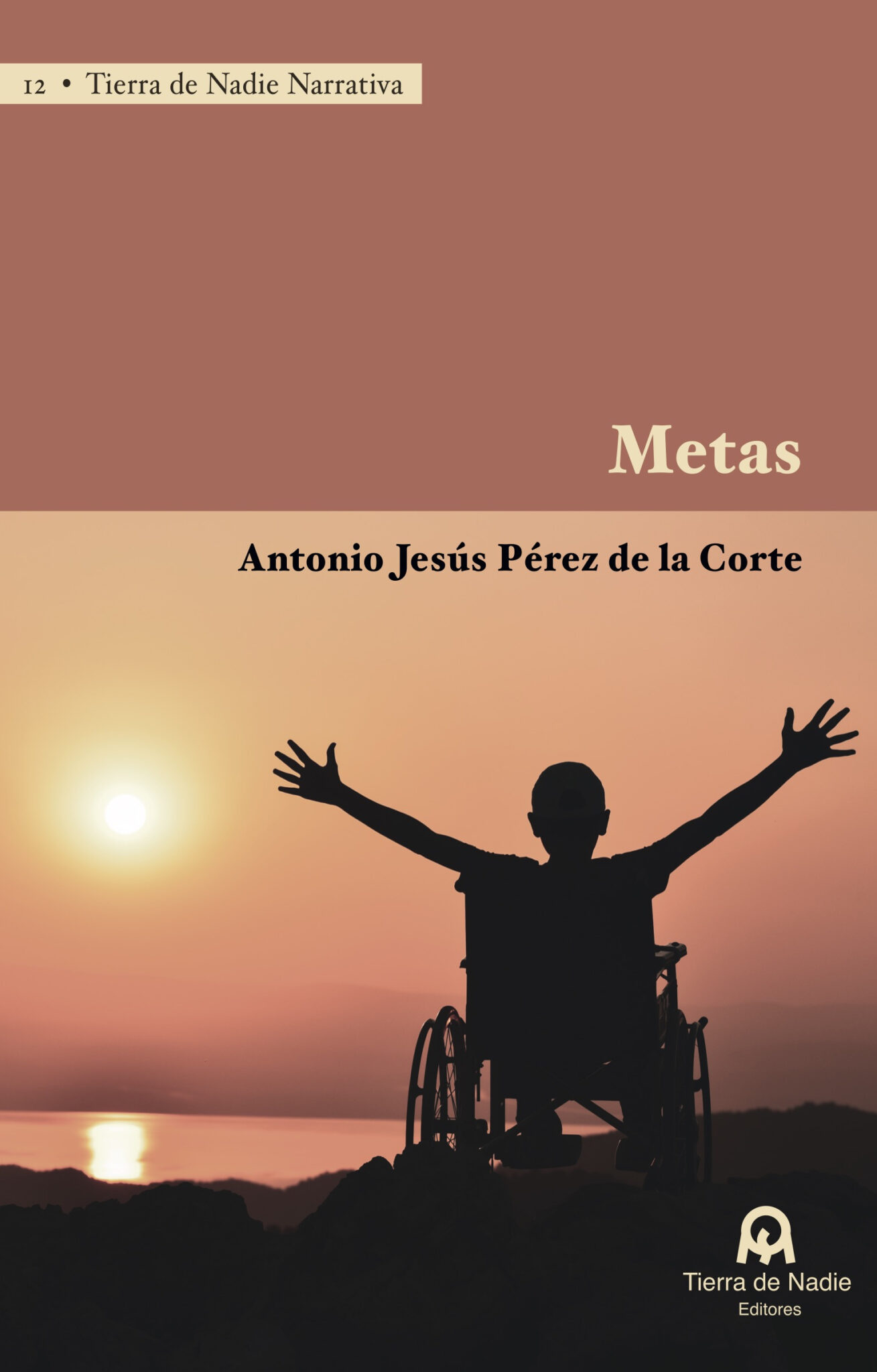 Metas - Imagen 2